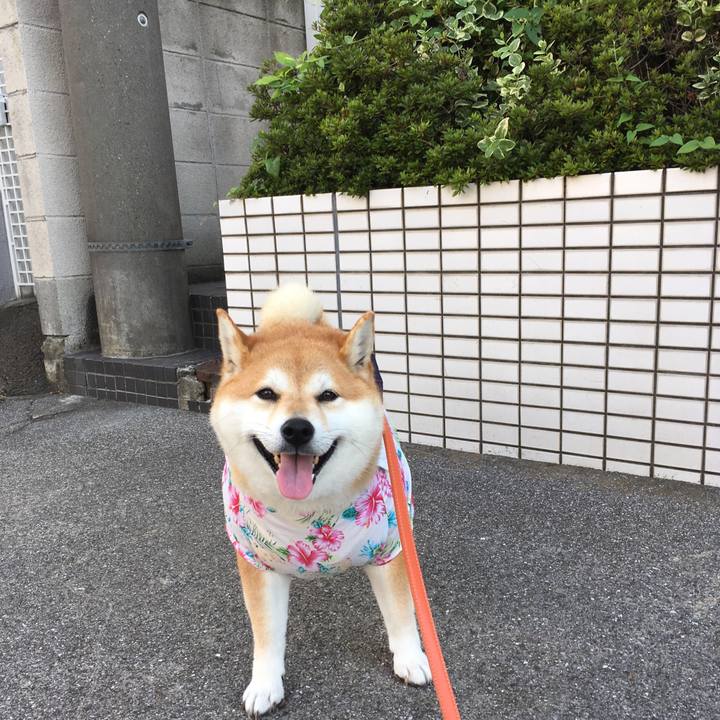 44784e11 0767 45f8 881e d0ae4289e786 1565481724814