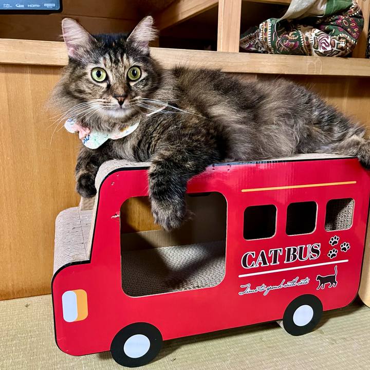 44784f83 5012 4f4f a314 7f2975a72408 1727079575459