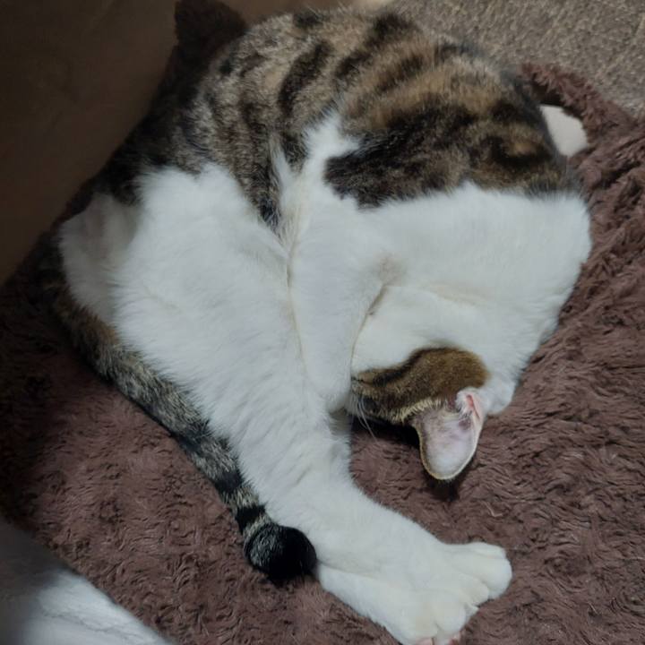 44785438 b336 47c5 9363 dbf2faa48cd2 1637662255469