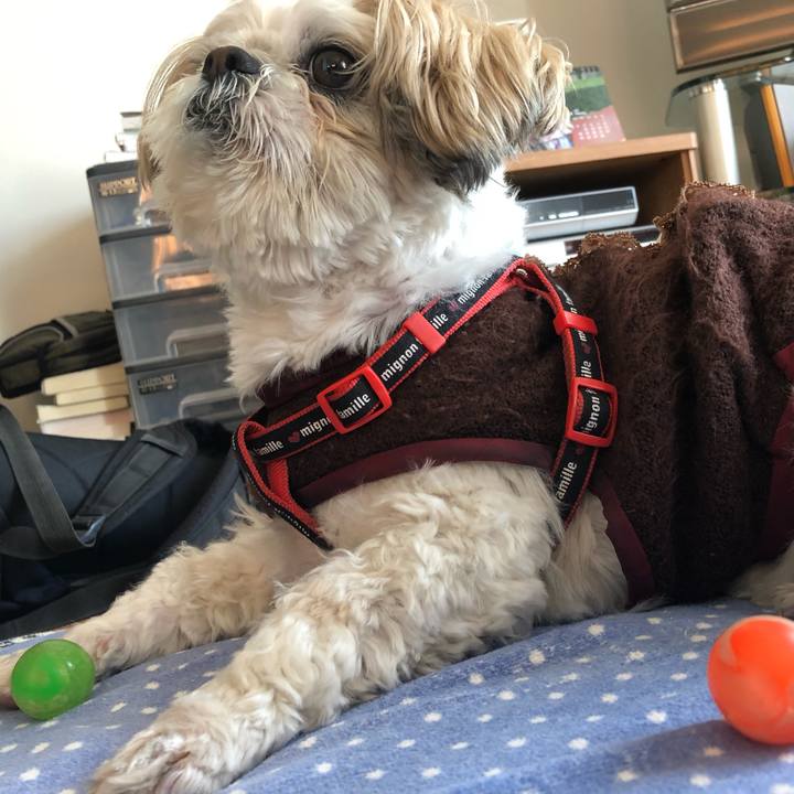 4478704c fd37 479a a2f7 be7fdbd68b7f 1551044515091