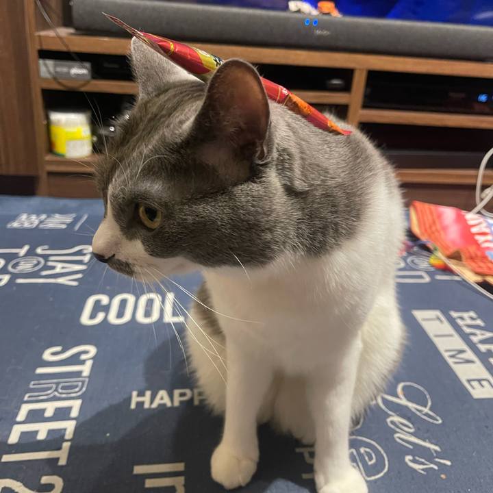 44787065 9358 449d 83cf 10911d7b3dc9 1725380649391