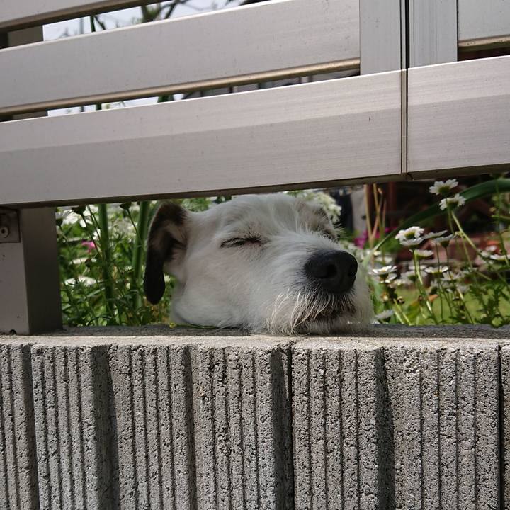 44787494 8ed5 44ed ba7f 2cccd19d94ad 1526686331583