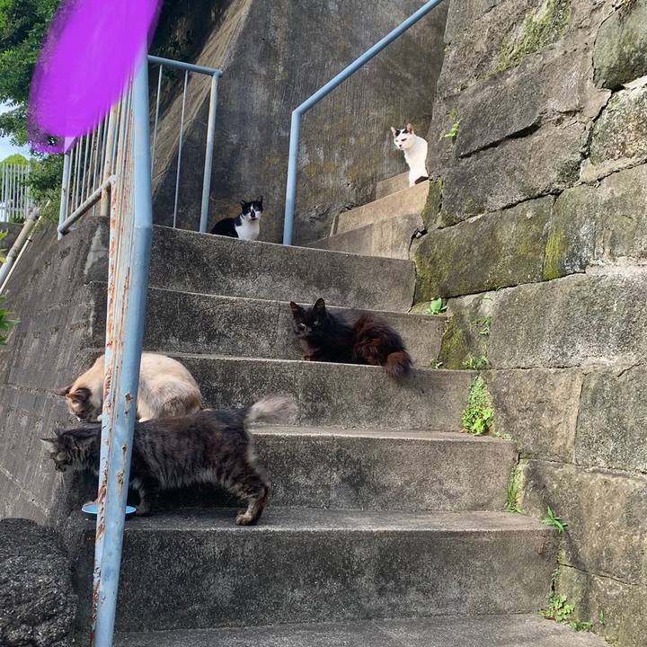 447874ea 1ca1 4a9b bd57 438998974480 1622286315524