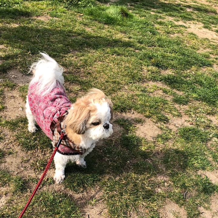 4478b37f 5799 41c2 8b32 42e78fb34f7a 1553031698213