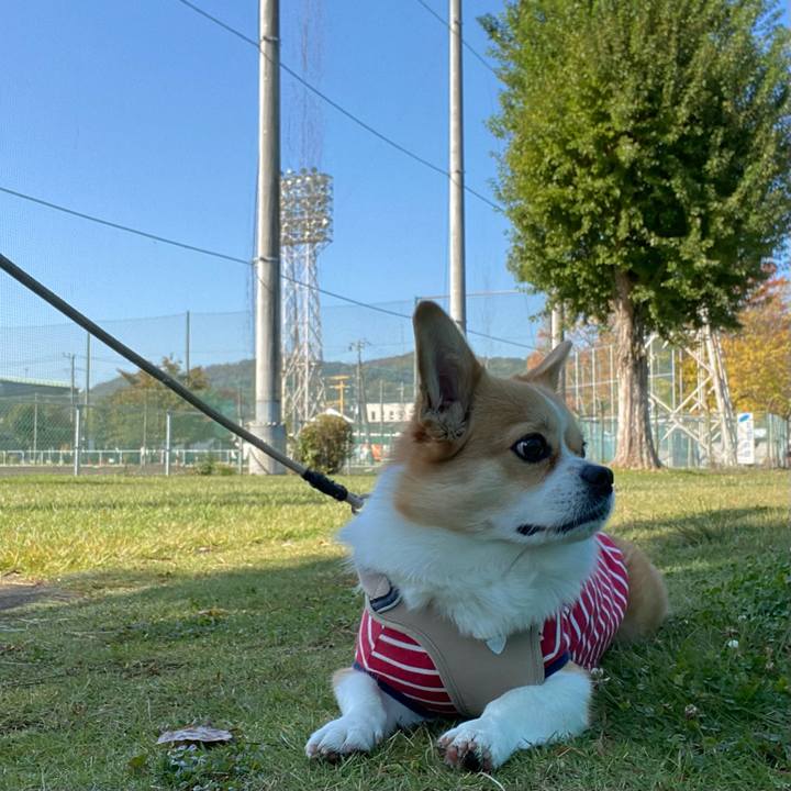 4478be3a 7fda 4821 80e7 107571826d38 1666923393434