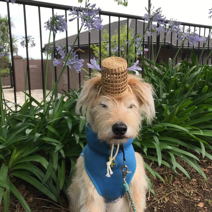 4478cc19 877c 42ad afa0 a6d5168a3d7f 1592960035071