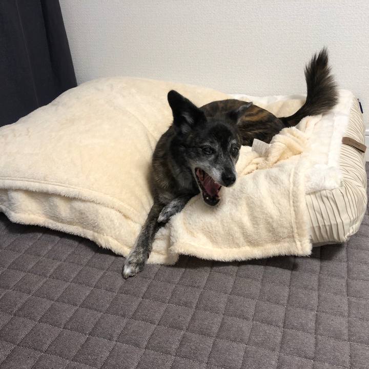 4478cc1f 18aa 415f b2bd 946c7a22e9a5 1684046857501