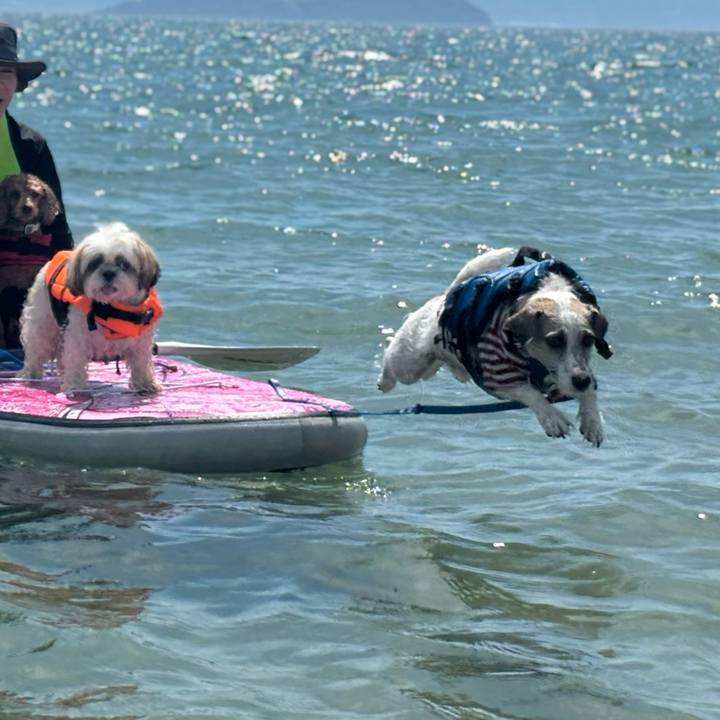 4478da0c 42c9 433f a4d8 a767f248d477 1757257013864