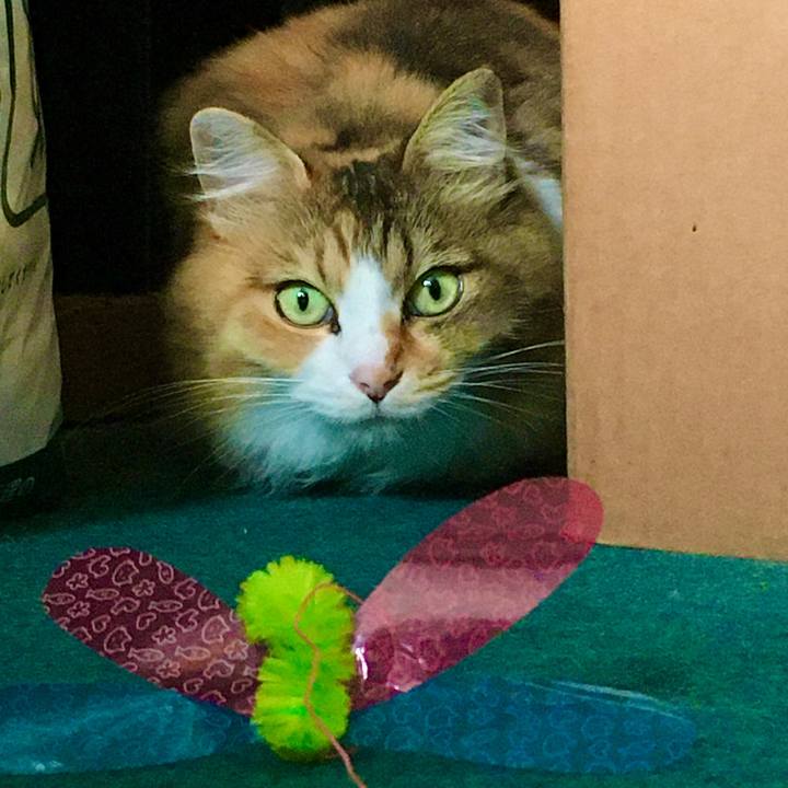 4478dd78 077d 4825 aec1 20e23b393ad9 1598084225105