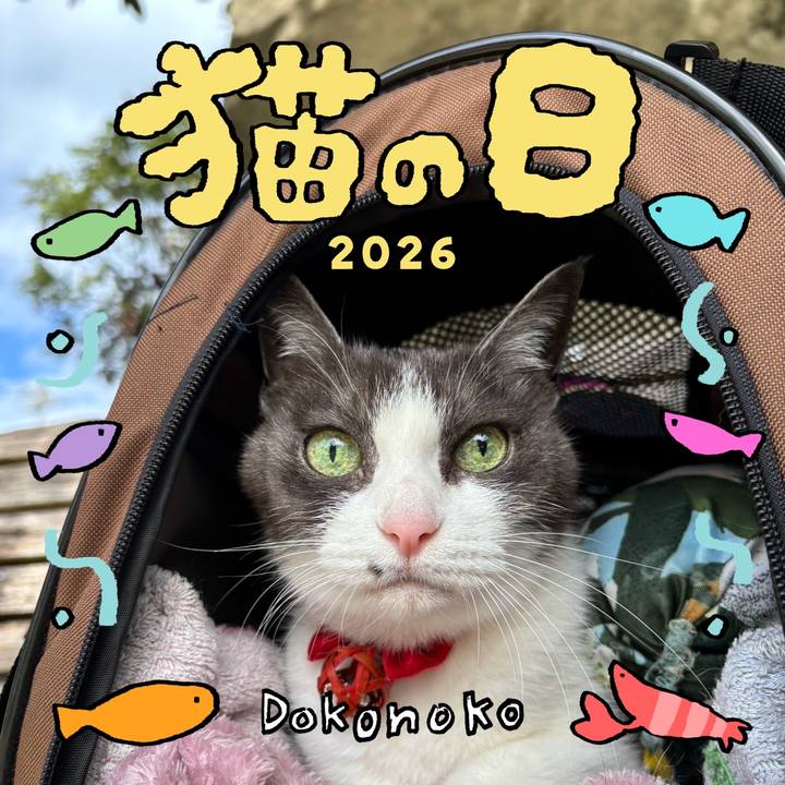 4478ec2c dda3 47d5 95c1 e161fee75f76 1771724065307