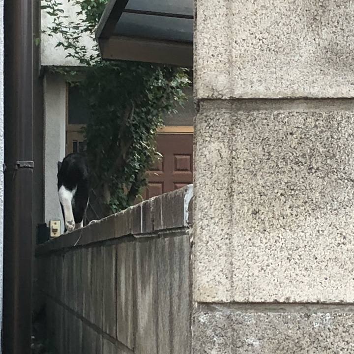 44791aac 7491 4b86 abb0 066bd5227681 1533708040782