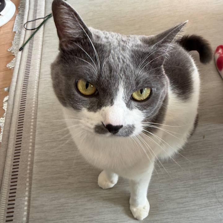 44793db2 26bb 49db b835 b32288c302fa 1763876523233