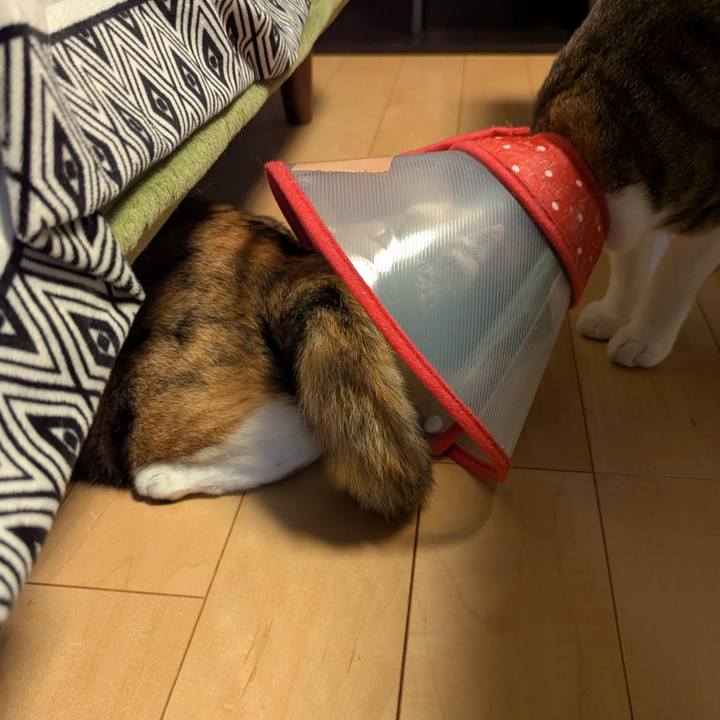 44797759 db26 4080 9899 c2d67701ff07 1756885181897