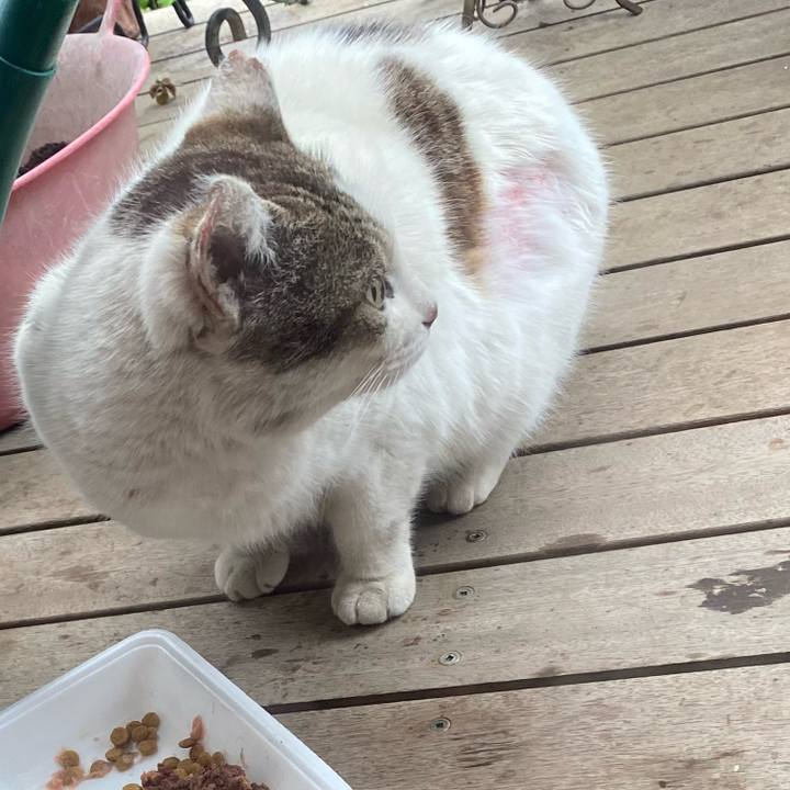 4479c10b 6cb7 4f03 9634 52c4e0ff8736 1648967451710