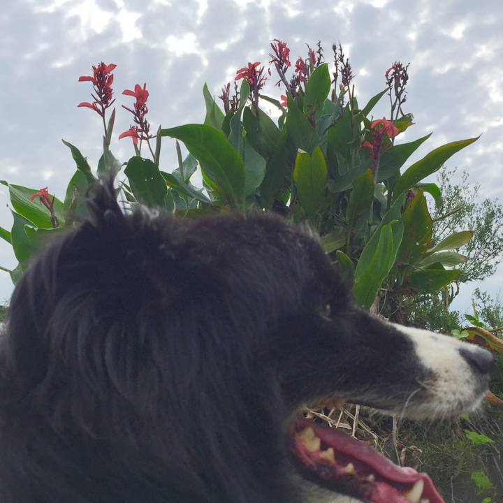 447a13f0 0946 4f5b ae0f 617d85969df4 1564015764738