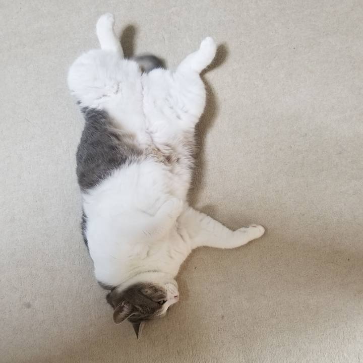 447a404e 4410 449c 880d aead737a36b4 1629031506607