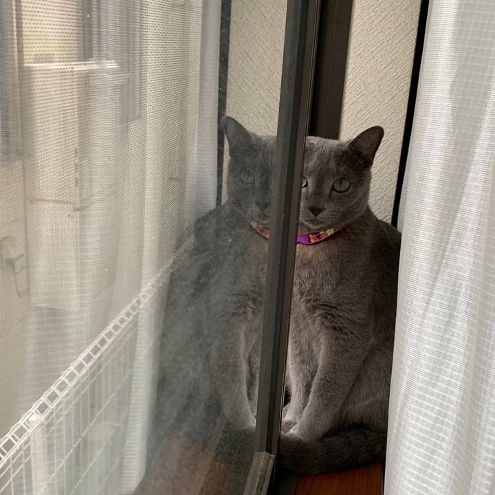 447a6c5a 74ee 44eb bceb a6f28a81dd89 1658017957042