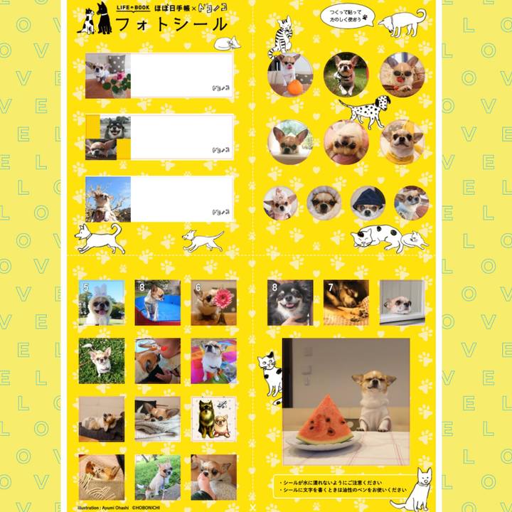 447ab3d3 6898 4603 b9d6 143b0939dd83 1650012138193