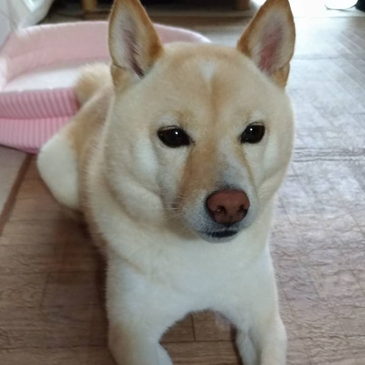 447b7a46 a967 44bd 824a 8185efe8a043 1595113761420