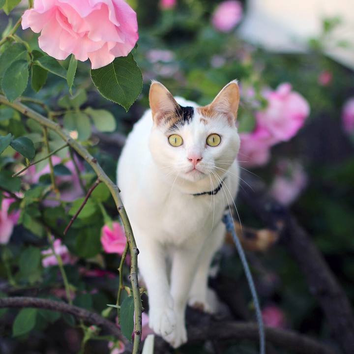 447b92a7 470b 4d61 ba7f 5521af138e25 1589074132796