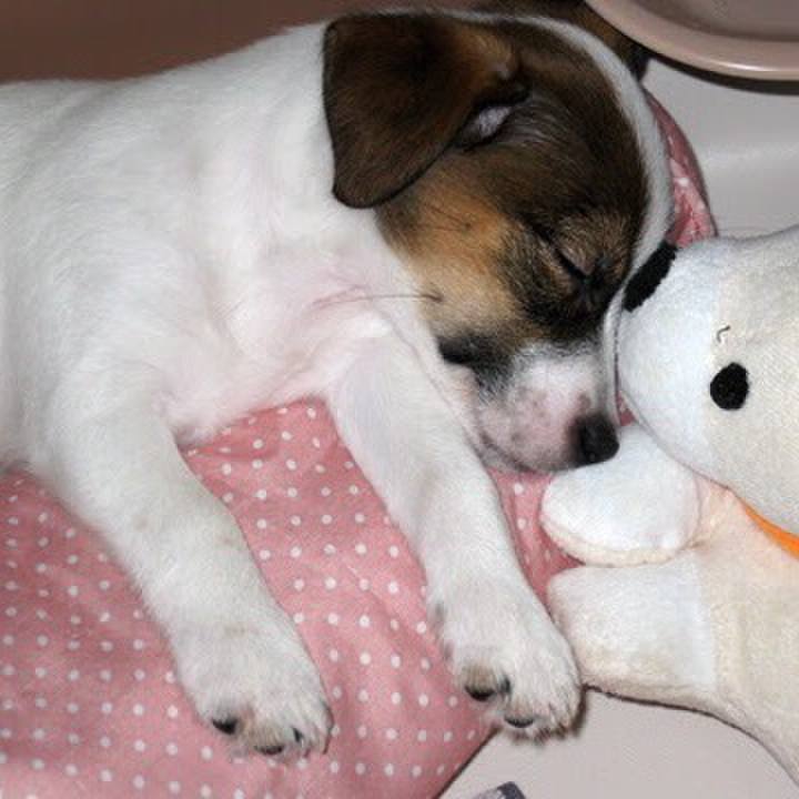 447bb6e5 e03f 4162 aedc 7d6586f88530 1534890071639