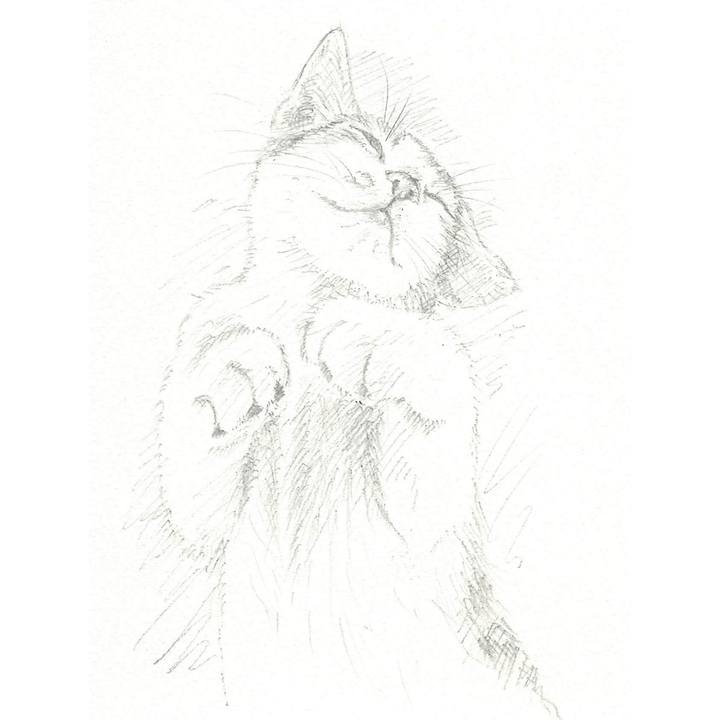 447bf8fc 1b82 4cc8 a48e c383a3c532c8 1534204996336