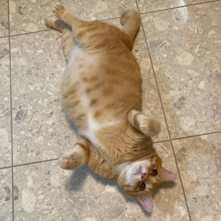 447c01d9 62ef 49c5 9a71 be8ff4c27205 1755867477620