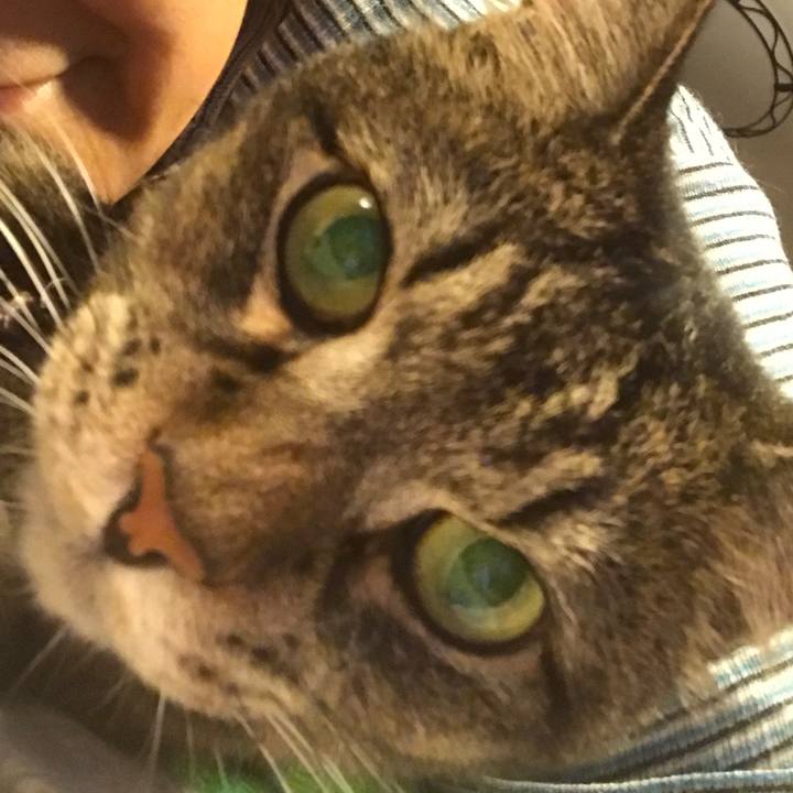 447c1232 f0e5 4d14 b34e 5bc06d207ccd 1539620053687