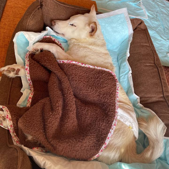 447c2dd4 ebe8 4271 b7ba 5e278a3ca4c1 1668568626371