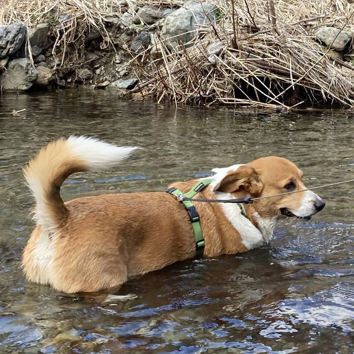 447c2f9e cdef 45bf 9c7c c631f02afbe0 1742457325714