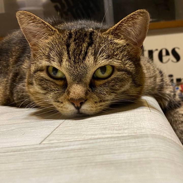 447c8067 74e0 4d8a 9fd8 73b5f80b9ee9 1627923012671