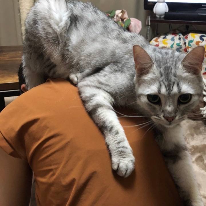 447c9e1c 66ac 4ac4 8048 17af5d53c52f 1593605187651