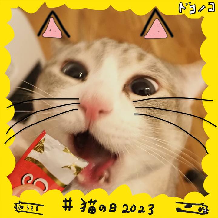 447cb14d 55d4 485c 84cd 03bf50f4f893 1677069981456