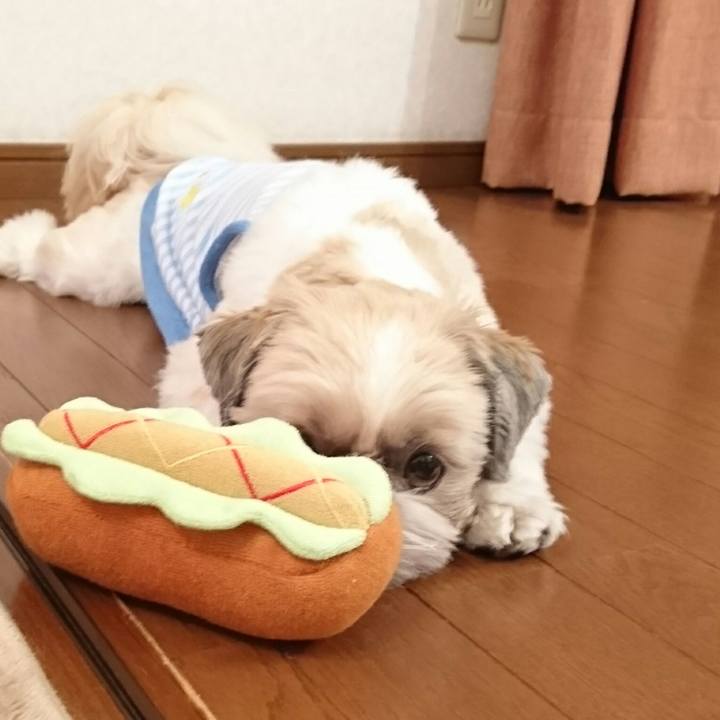 447ccde8 4365 4557 9e07 57e87ce4842e 1525344817465