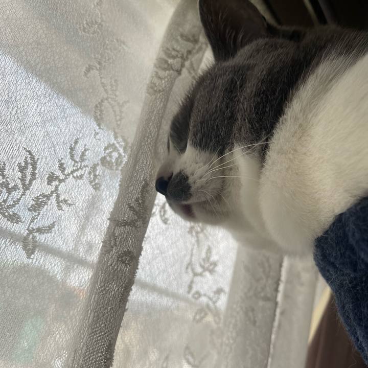 447ce1bf 2508 4496 8d54 3c8be82b7fcb 1685748206641