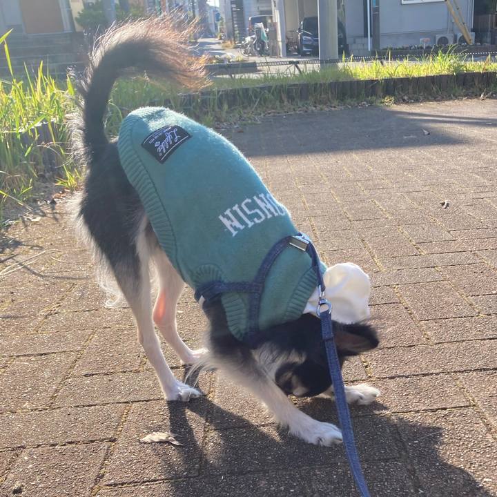 447d6b9b 2d20 43df 9d56 819230cd08c1 1668868807351