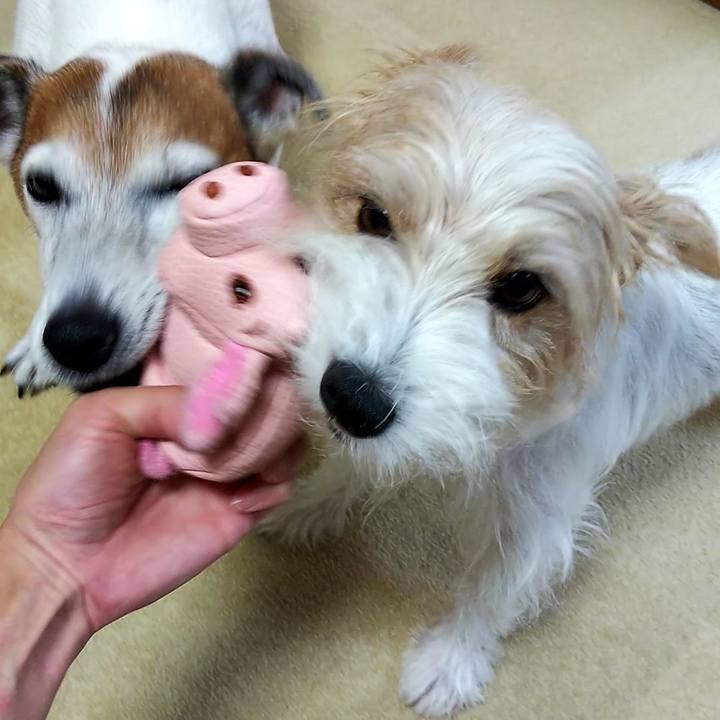 447d9e51 2eae 462e a403 c7a1e75c9c79 1534146108189