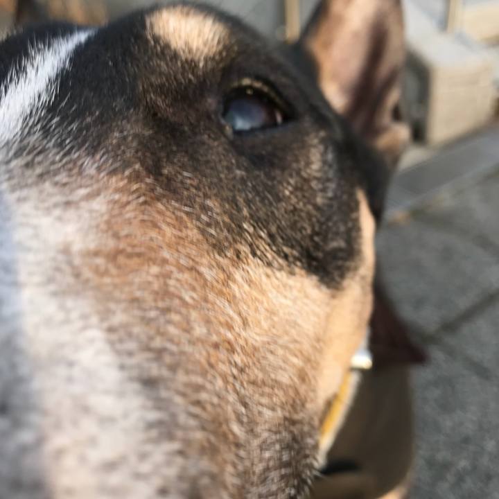 447da23a d906 423b 89cb 62808d52f03c 1516264835770