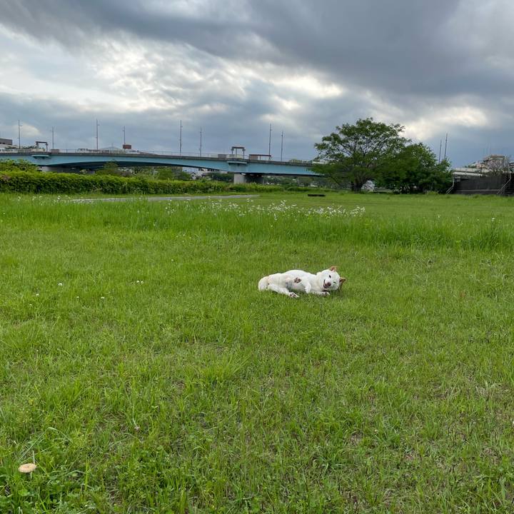 447dbea4 ee08 4840 b920 73cacc7618ed 1651158875581