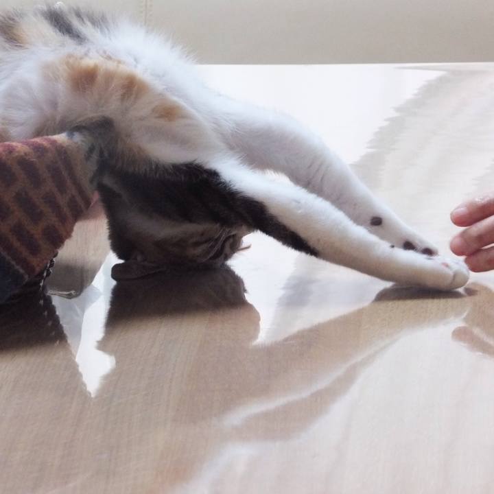 447dd755 b02d 4fb1 ab05 6afaf59ded37 1632193456481