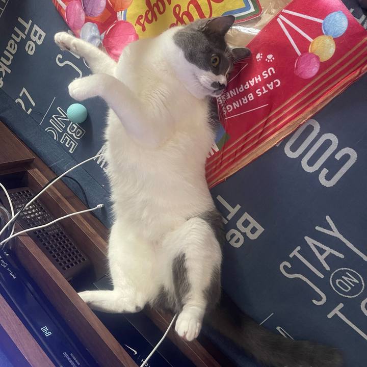 447de72d 4173 4a97 a445 77b7da354d89 1691975497751