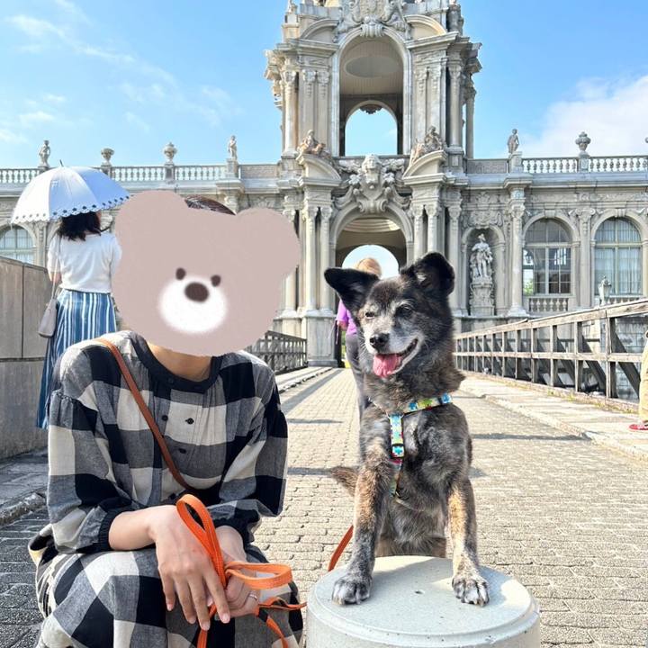 447deb5d 63ce 4298 abe6 f79de8ae9912 1684900669016