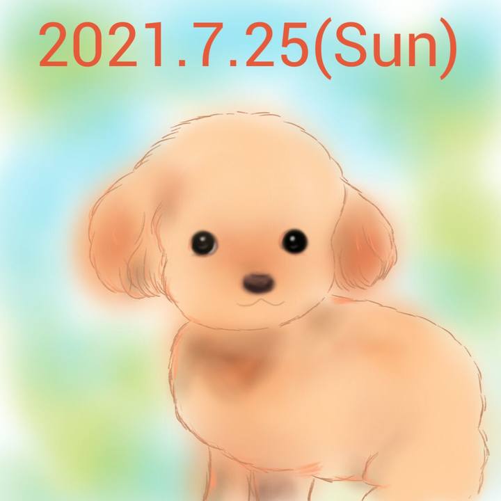 447defff 72c8 4816 924d 340059e52369 1627211653955