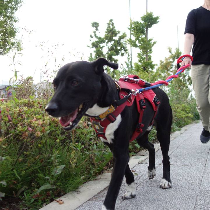 447df650 12f1 4245 aa9e 9a1dfdc0635e 1590401804274