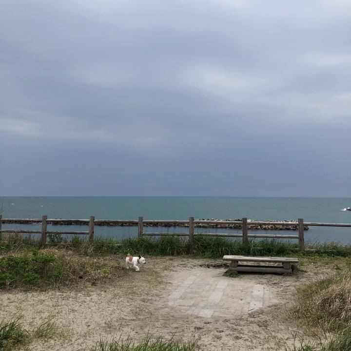 447e2741 ba5f 464a a5e8 87e8479a2a98 1587860565271