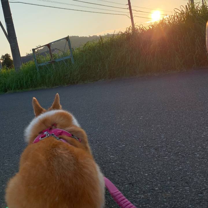 447e3e86 5fdc 4a9b 9a40 11993bdb1c43 1721604843993