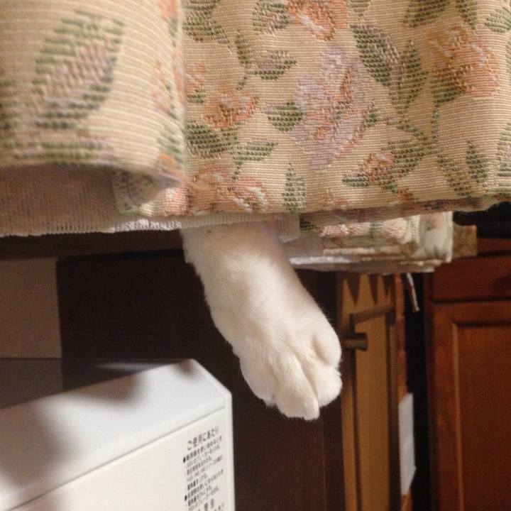 447e452d bce8 4d3c aeb1 6d2eeb311095 1517053028498