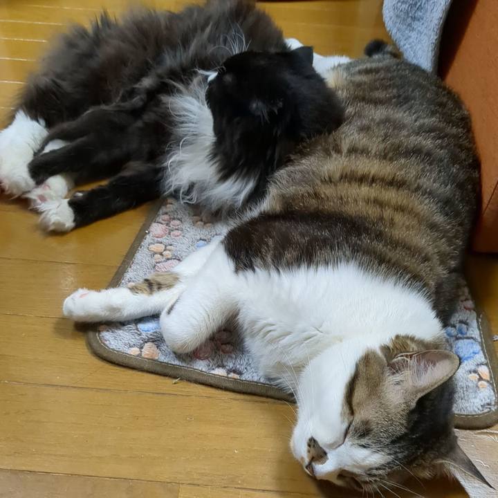 447e5269 4960 420c 9adb cb09d9225699 1688080590501