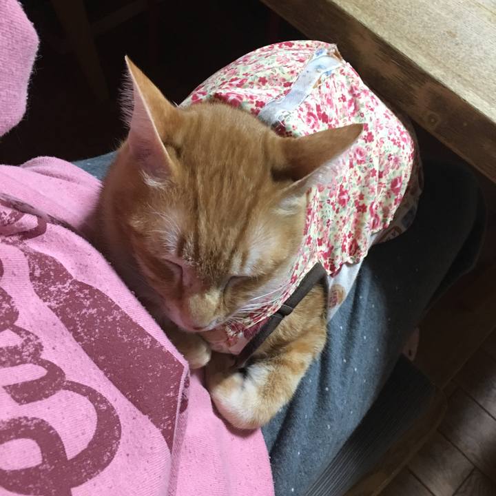 447e7952 c079 4a5c 91fe 9b7088332aef 1516983524894