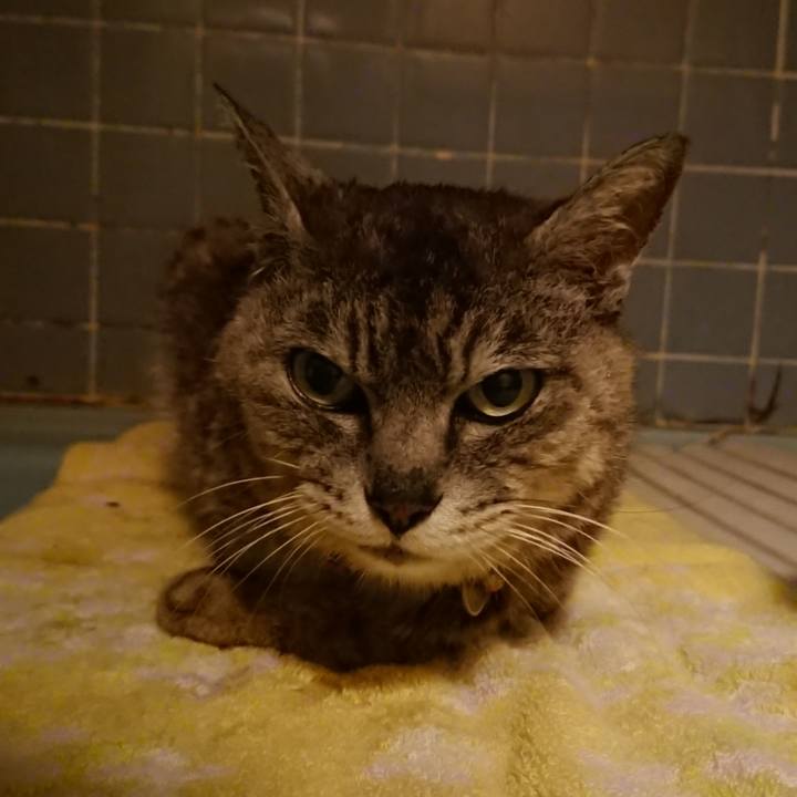 447e8a1f aeb2 4eb5 bdd4 a1e197d5ff52 1595932961099